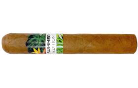 Villiger Sampler Summer Edition Robusto 2020 3er