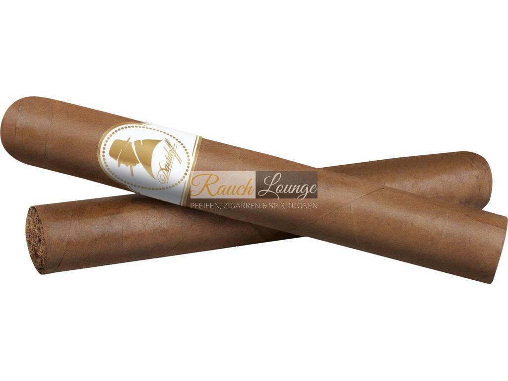Zigarrenröhre chrom poliert 19 x 2 cm für 2 Doppel Corona Churchill Cigarren NEU 