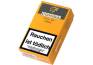 Cohiba Short 10er Zigarillos