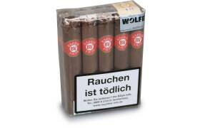 Barrio Viejo Double Robusto 10er Bundle