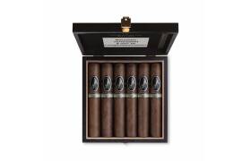 Davidoff Discovery Limited Edition 2022 12er Kiste