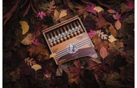 AVO Limited Editions Seasons Fall 2023