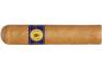 Santa Damiana Classic Short Robusto