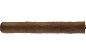 Cusano Bundles Honduras Toro 16er Bundle