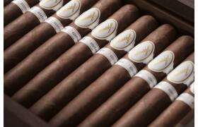 Davidoff Chefs Edition 2025 1er