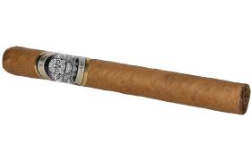 Rough Rider Chapter One Churchill