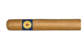 Santa Damiana Classic Gigantes
